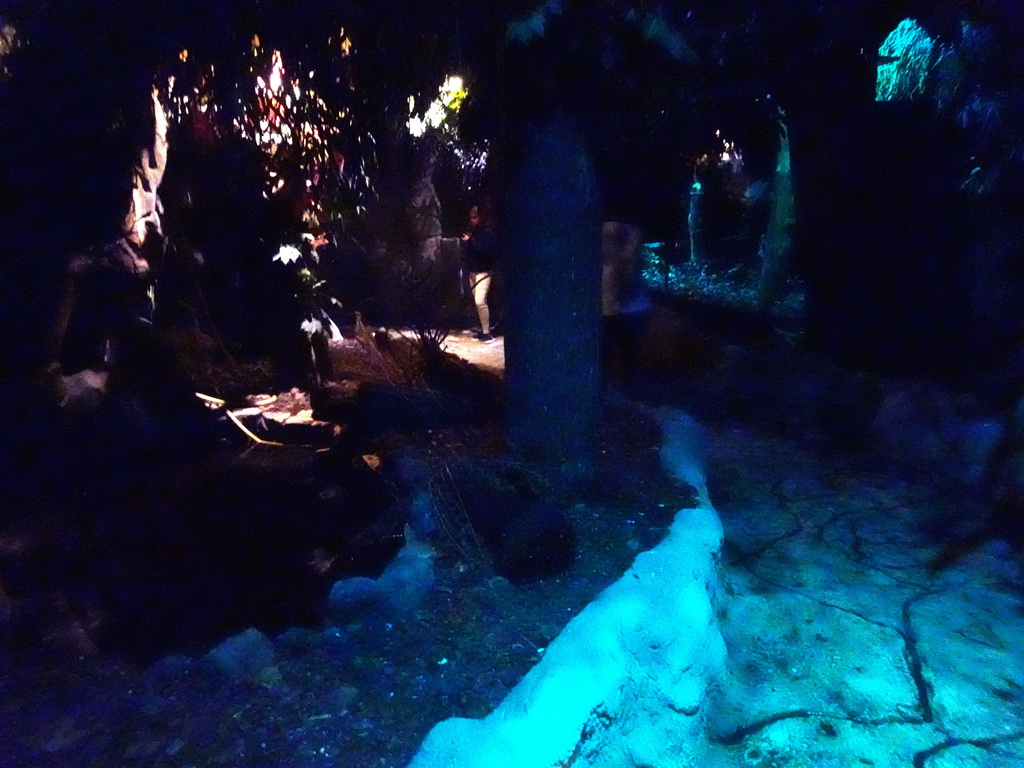 Interior of the Night Safari building at the Vogelpark Avifauna zoo