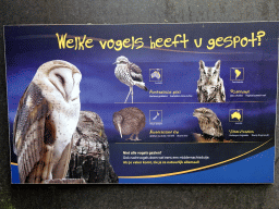 Explanation on the Australian Stone Curlew, Tropical Screech-owl, North Island Kiwi and Tawny Frogmouth at the Night Safari building at the Vogelpark Avifauna zoo