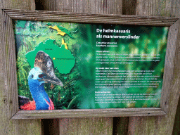 Explanation on the Southern Cassowary at the Vogelpark Avifauna zoo