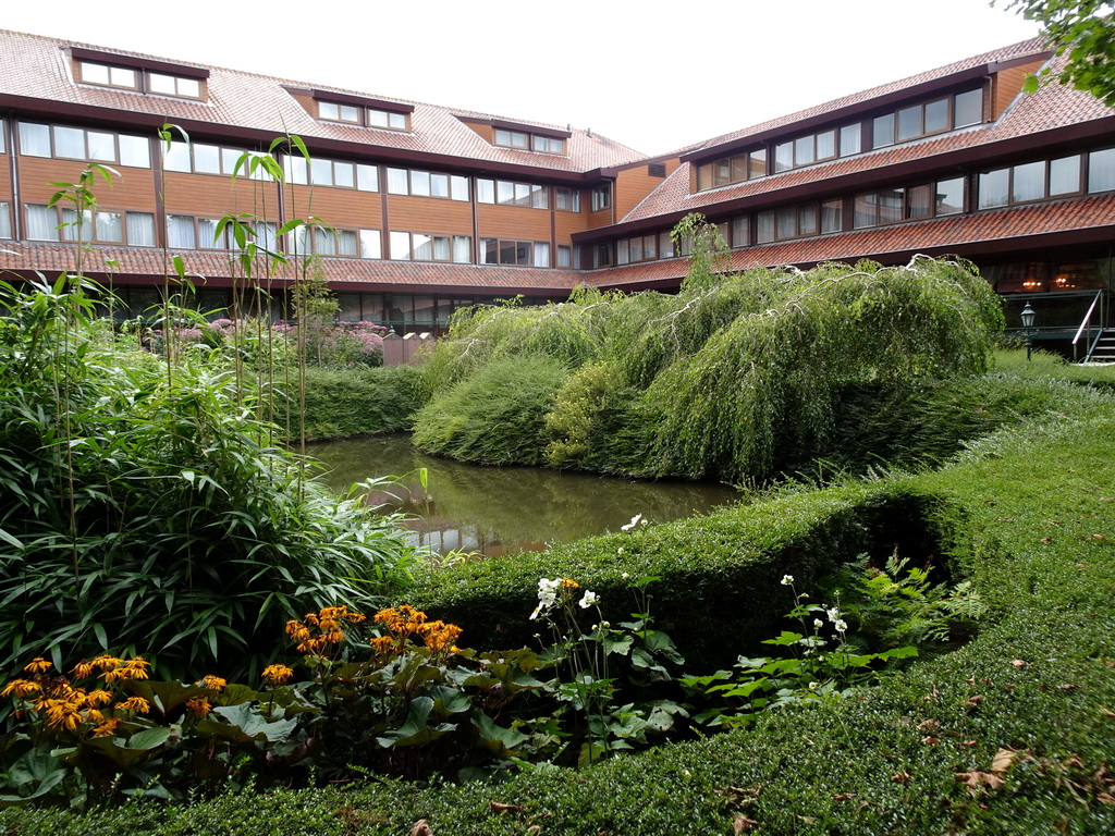 Pond in front of the Van der Valk Hotel Avifauna