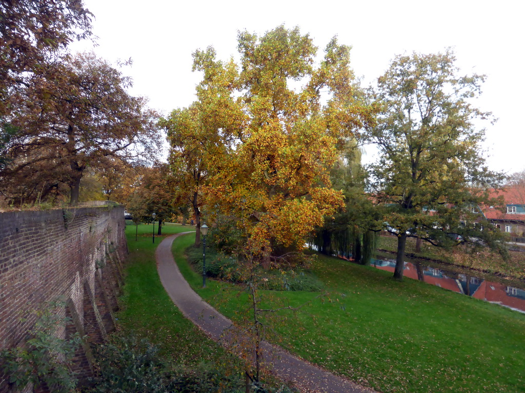 Trees at the Eem river, viewed from the city wall at the Plantsoen Noord path
