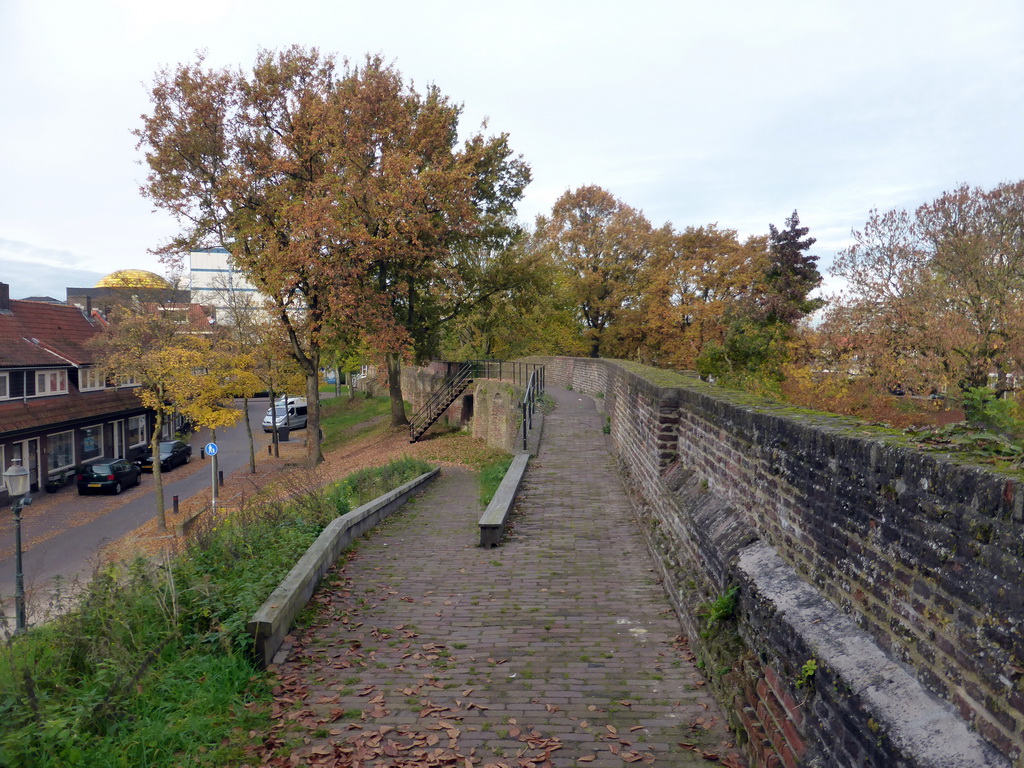 City wall at the Plantsoen Noord path