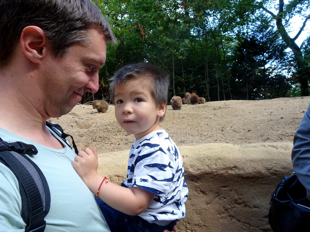 Tim and Max with Prairie Dogs at the DierenPark Amersfoort zoo