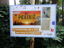 Information on Prairie Dogs at the DierenPark Amersfoort zoo