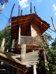 Tree hut at the Siamang enclosure at the DierenPark Amersfoort zoo