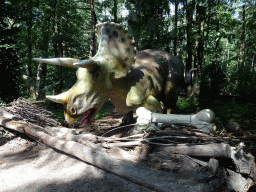 Triceratops statue at the DinoPark at the DierenPark Amersfoort zoo, with explanation
