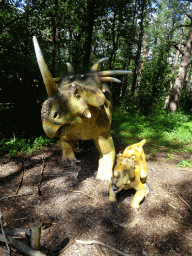 amersfoort_2_042 - 523 kb - 768x1024 - Styracosaurus statues at the DinoPark at the DierenPark Amersfoort zoo Styracosaurus statues at the DinoPark at the DierenPark Amersfoort zoo