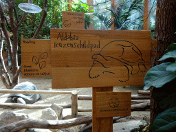 Explanation on the Aldabra Giant Tortoise at the Turtle Building at the DinoPark at the DierenPark Amersfoort zoo