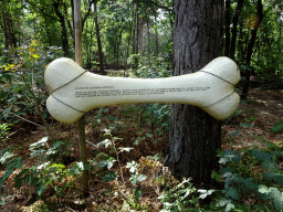 Explanation on the Leptoceratops at the DinoPark at the DierenPark Amersfoort zoo