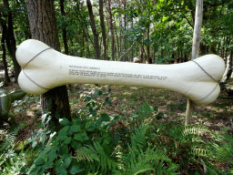 Explanation on the Protoceratops at the DinoPark at the DierenPark Amersfoort zoo