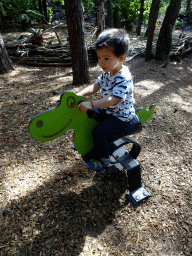 Max on a Dinosaur spring rider at the DinoPark at the DierenPark Amersfoort zoo