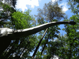 Brachiosaurus statue at the DinoPark at the DierenPark Amersfoort zoo