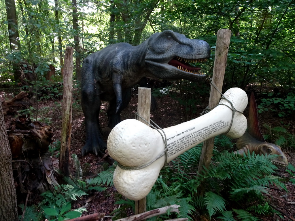 Tyrannosaurus Rex and Dimetrodon statues at the DinoPark at the DierenPark Amersfoort zoo, with explanation