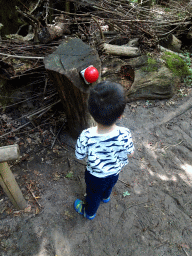 Max with the start button of the running track at the DinoPark at the DierenPark Amersfoort zoo