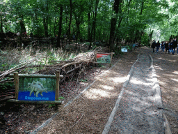 Running track at the DinoPark at the DierenPark Amersfoort zoo