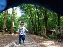 Max at the running track at the DinoPark at the DierenPark Amersfoort zoo