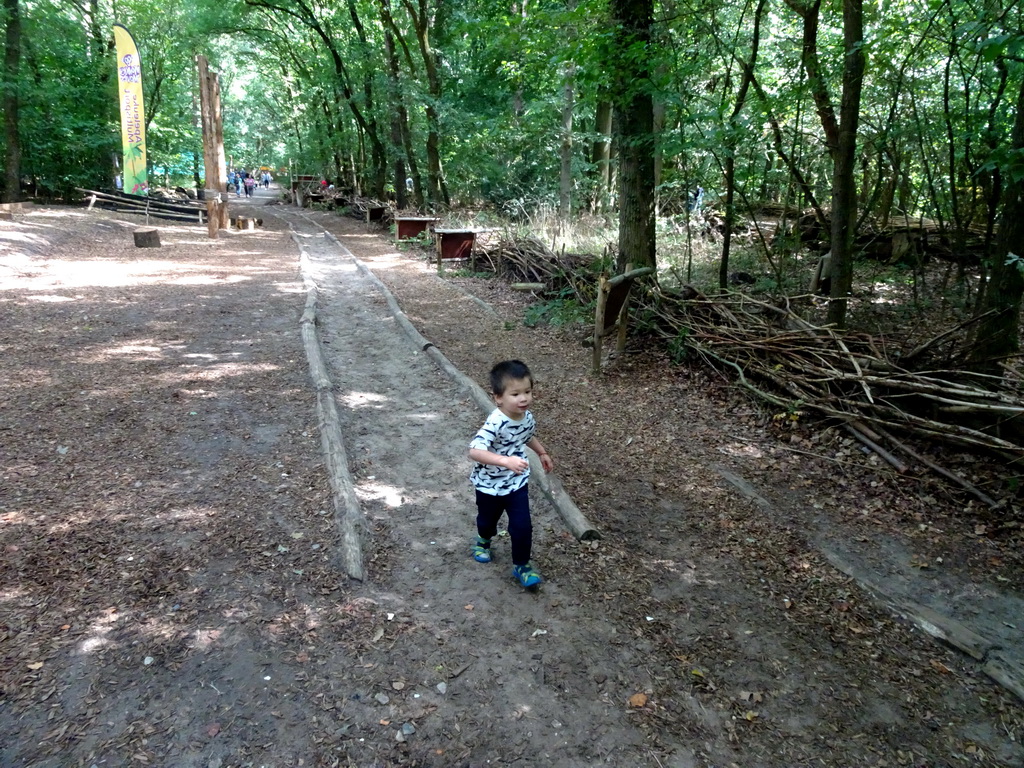 Max at the running track at the DinoPark at the DierenPark Amersfoort zoo