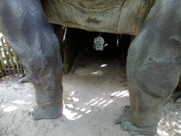 Max under a Brachiosaurus statue at the DinoPark at the DierenPark Amersfoort zoo