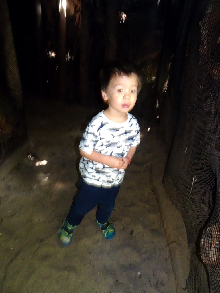 Max in a cave behind a Brachiosaurus statue at the DinoPark at the DierenPark Amersfoort zoo