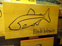 Explanation on the Blind Cave Fish at the De Nacht building at the DierenPark Amersfoort zoo
