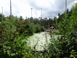 Interior of the Snavelrijk aviary at the DierenPark Amersfoort zoo