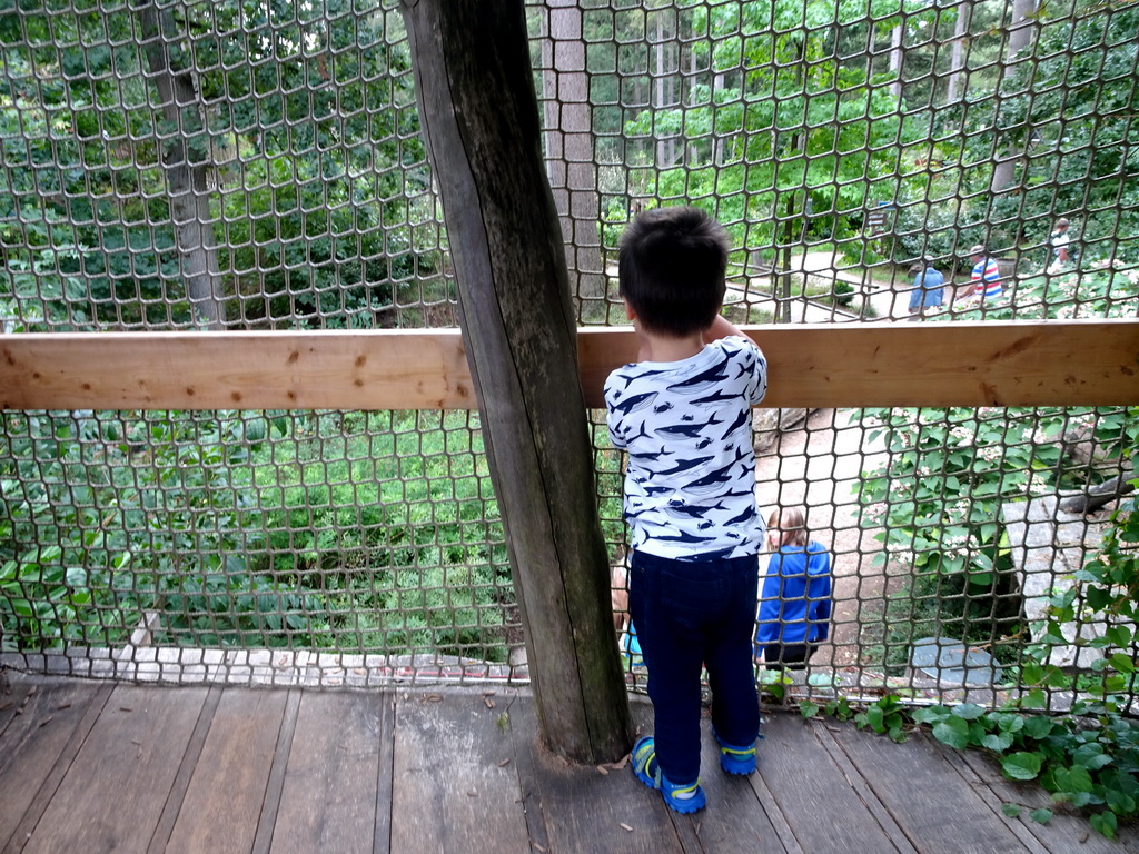 Max at the playground in the Snavelrijk aviary at the DierenPark Amersfoort zoo