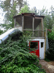 Playground in the Snavelrijk aviary at the DierenPark Amersfoort zoo, with a Marabou Stork on top