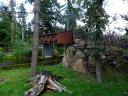 Bridge to the island with the Ring-tailed Lemurs at the DierenPark Amersfoort zoo