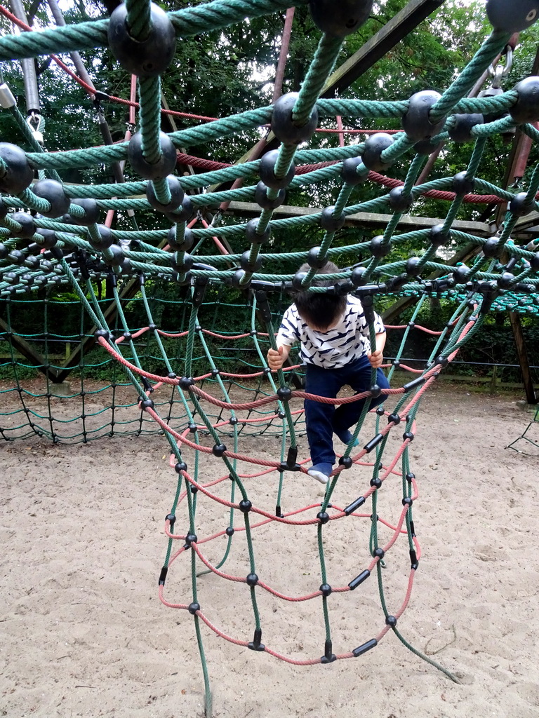 Max on a rope bridge at the playground near the Restaurant Buitenplaats at the DierenPark Amersfoort zoo