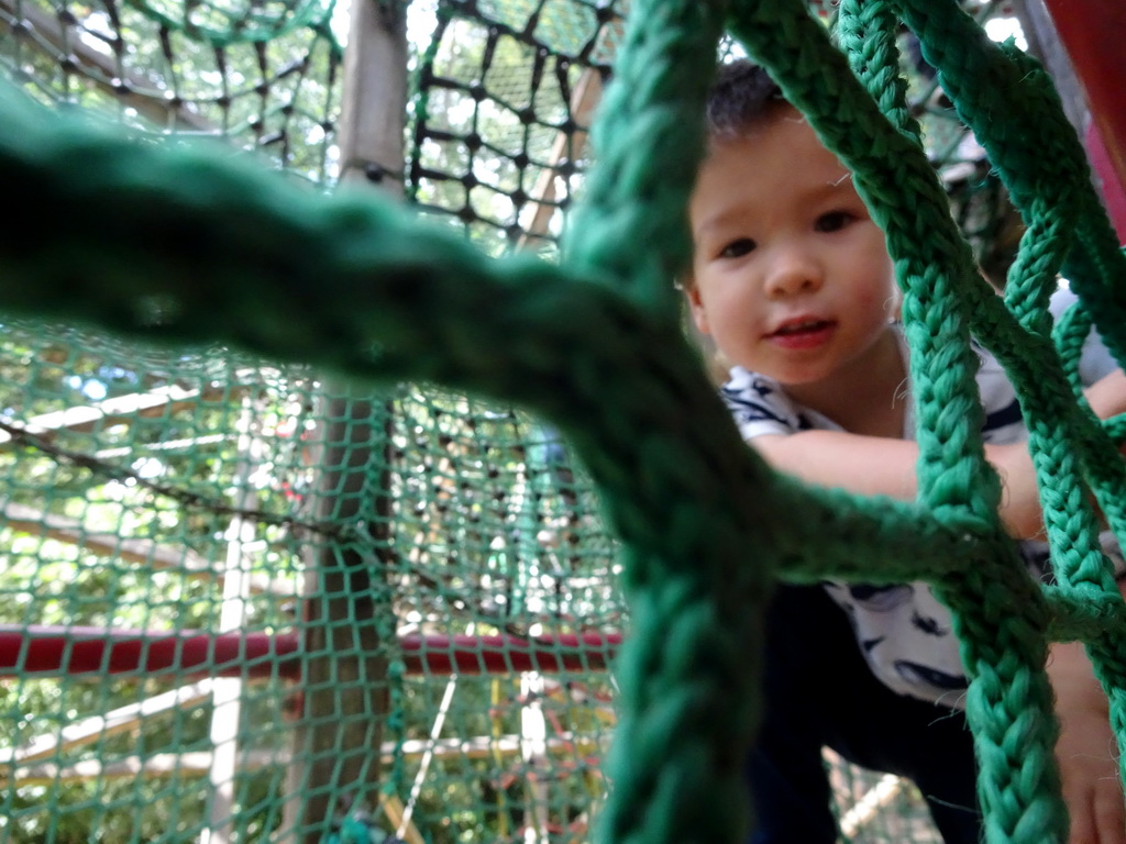 Max on a rope bridge at the playground near the Restaurant Buitenplaats at the DierenPark Amersfoort zoo