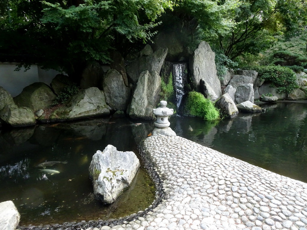 Pond with fishes and waterfall at the Japanese Garden at the DierenPark Amersfoort zoo