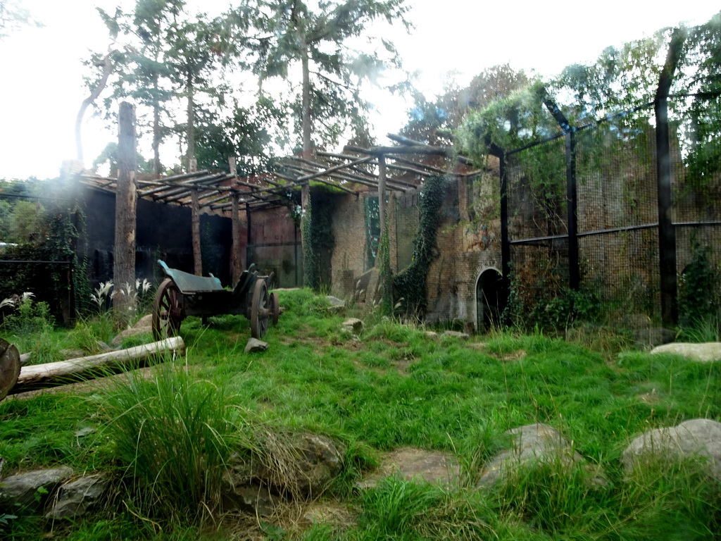 Interior of the Lion Enclosure at the City of Antiquity at the DierenPark Amersfoort zoo