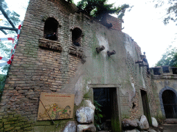 Wall at the Lion Enclosure at the City of Antiquity at the DierenPark Amersfoort zoo