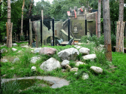 Interior of the Lion Enclosure at the City of Antiquity at the DierenPark Amersfoort zoo
