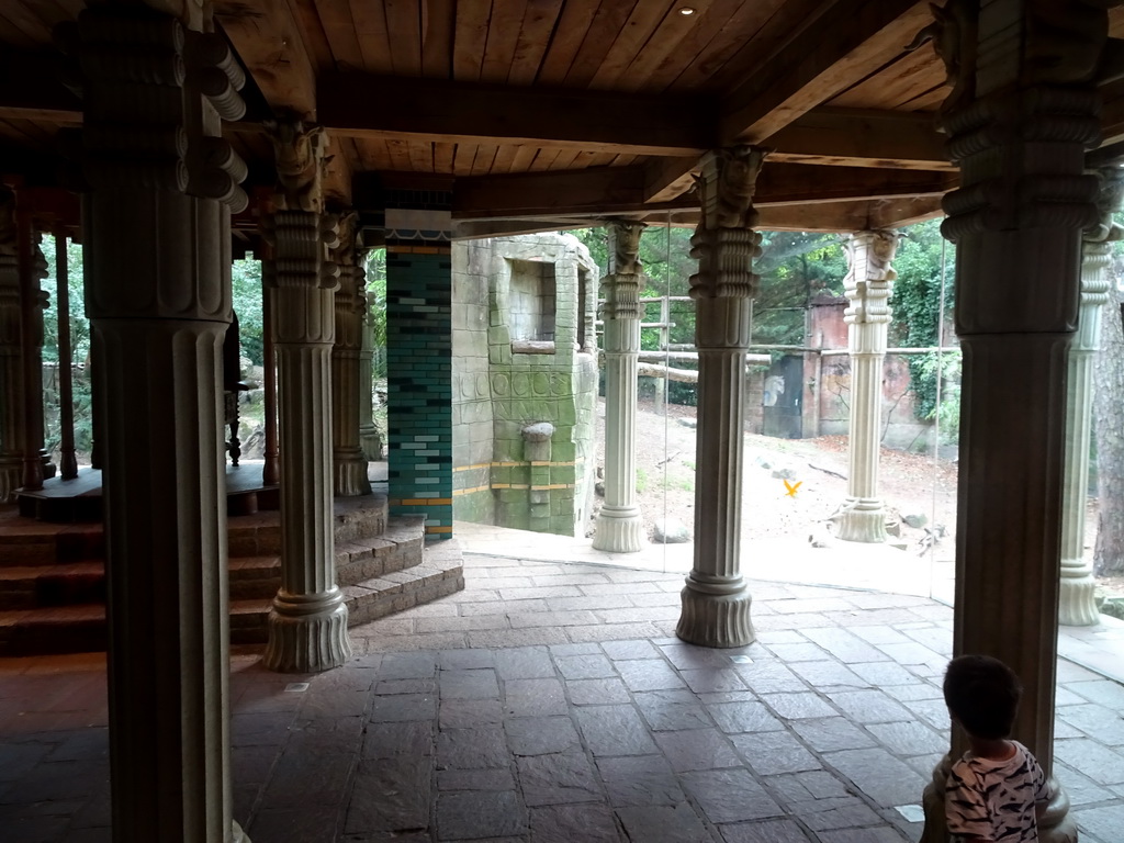 Max in the Palace of King Darius at the City of Antiquity at the DierenPark Amersfoort zoo