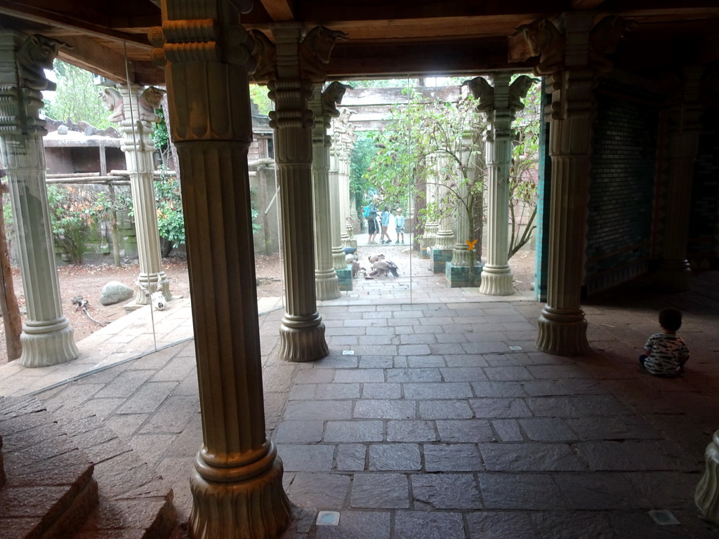 Max in the Palace of King Darius at the City of Antiquity at the DierenPark Amersfoort zoo