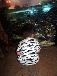Max with fish at the City of Antiquity at the DierenPark Amersfoort zoo