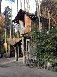 Enclosure of the Siamangs at the DierenPark Amersfoort zoo