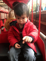 Max in the tourist train at the DierenPark Amersfoort zoo