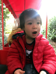 Max in the tourist train at the DierenPark Amersfoort zoo