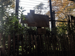 Enclosure of the Lions at the DierenPark Amersfoort zoo, with explanation, viewed from the tourist train