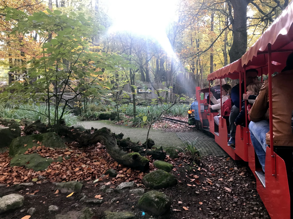 Tourist train at the DierenPark Amersfoort zoo