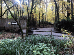 Path at the DierenPark Amersfoort zoo, viewed from the tourist train