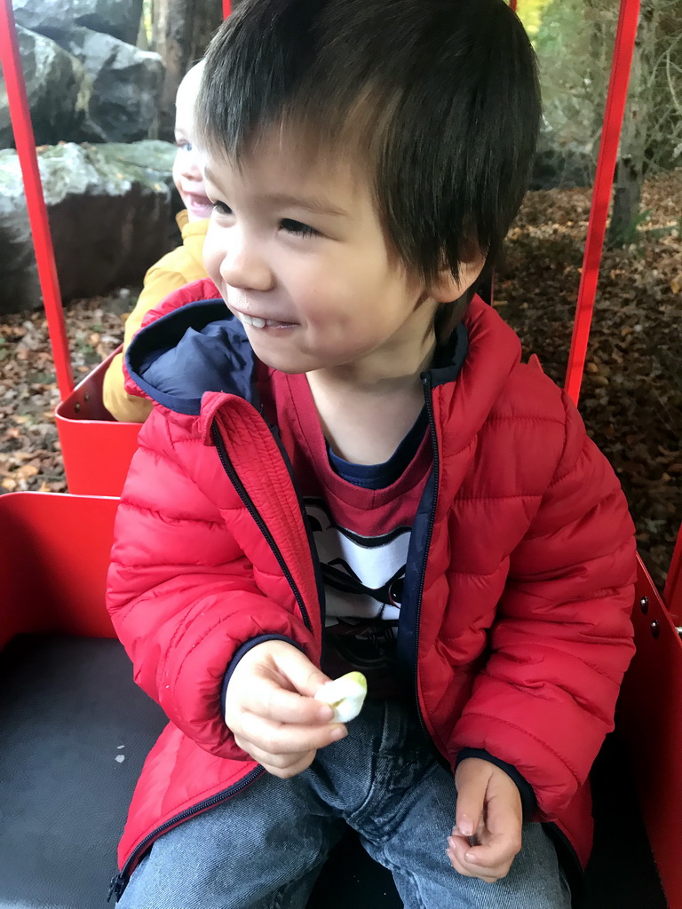 Max in the tourist train at the DierenPark Amersfoort zoo