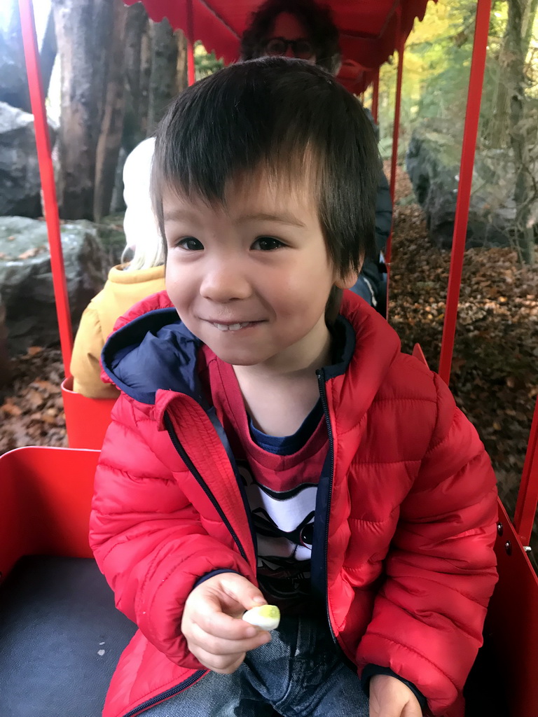 Max in the tourist train at the DierenPark Amersfoort zoo