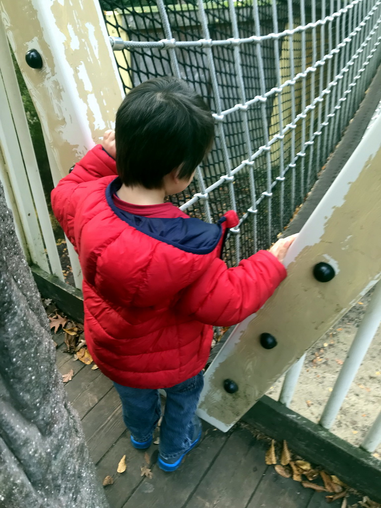 Max at the wire bridge above the enclosure of the Brown Bears at the DierenPark Amersfoort zoo