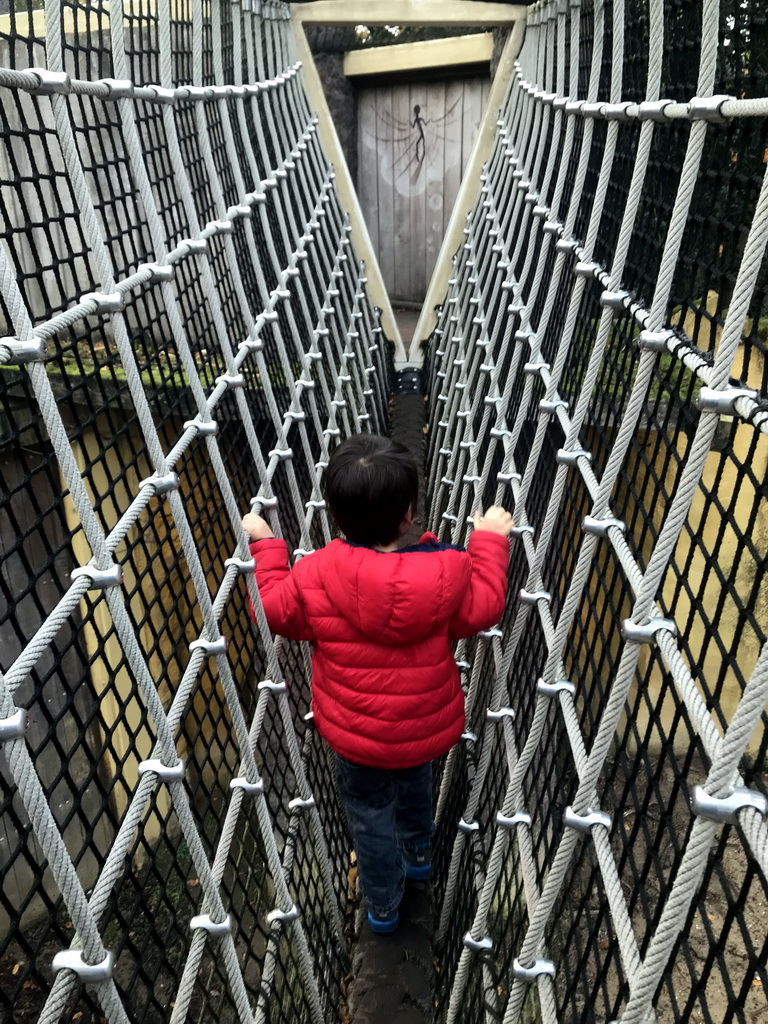 Max at the wire bridge above the enclosure of the Brown Bears at the DierenPark Amersfoort zoo