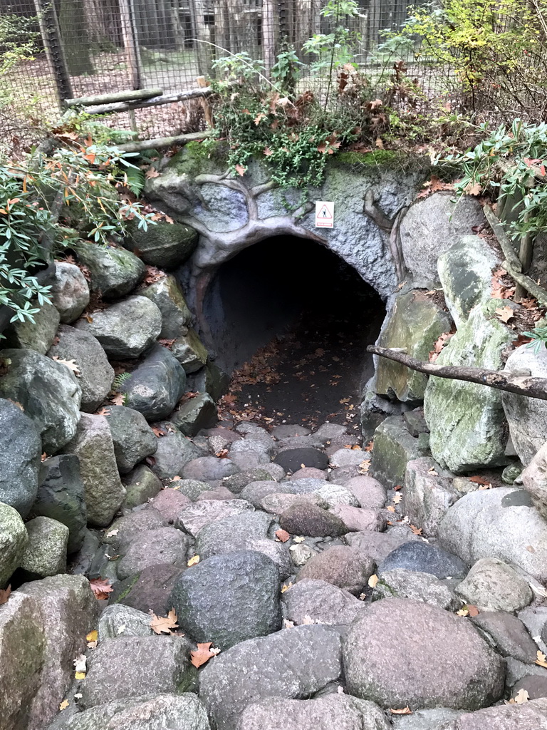 Tunnel under the enclosure of the Spotted Hyenas at the DierenPark Amersfoort zoo