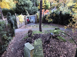 Enclosure of the Spotted Hyenas at the DierenPark Amersfoort zoo, viewed from the path above