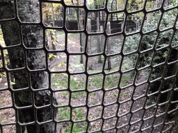 Enclosure of the Spotted Hyenas at the DierenPark Amersfoort zoo, viewed from the path above